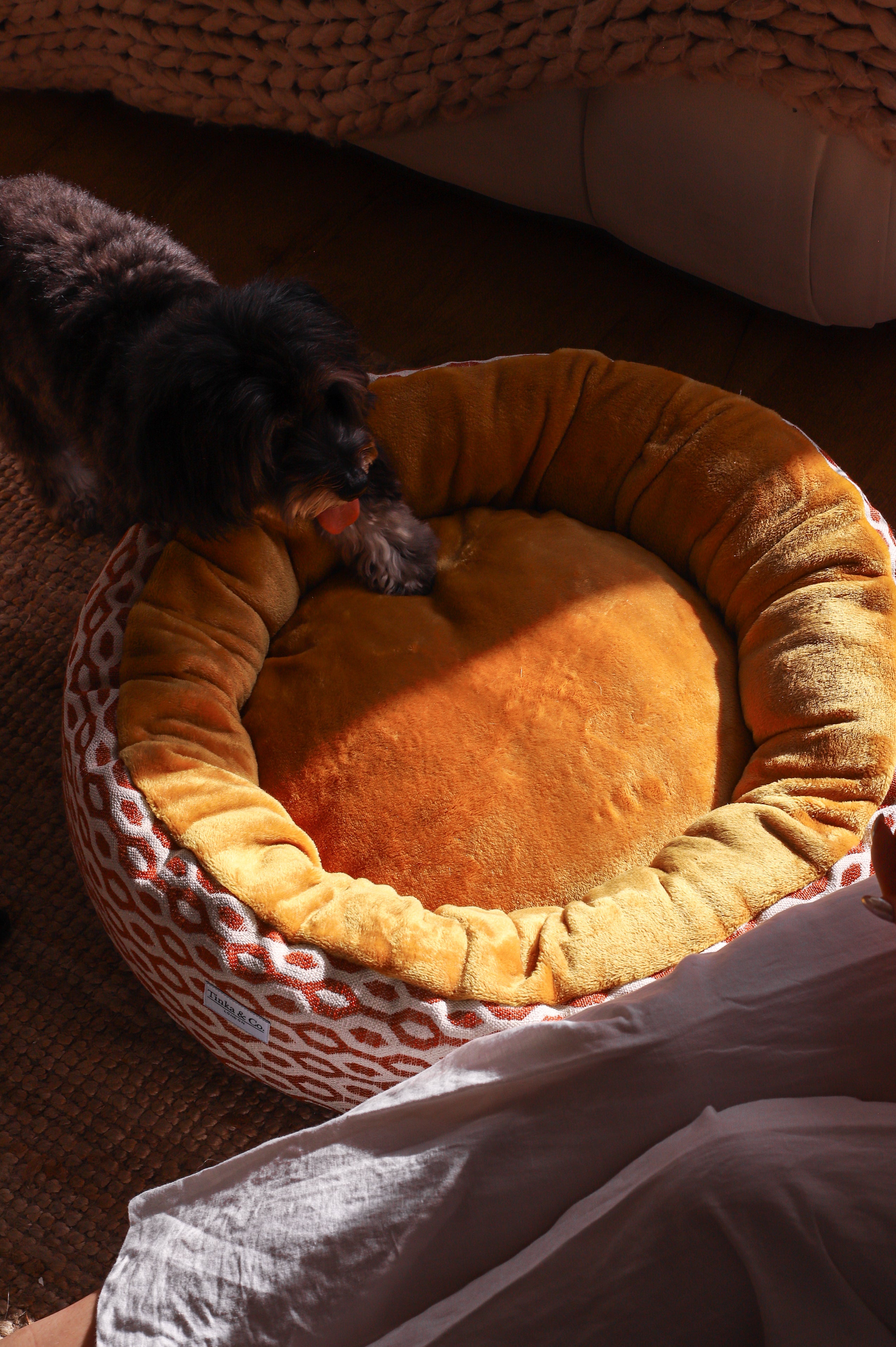 For the well-appointed dog