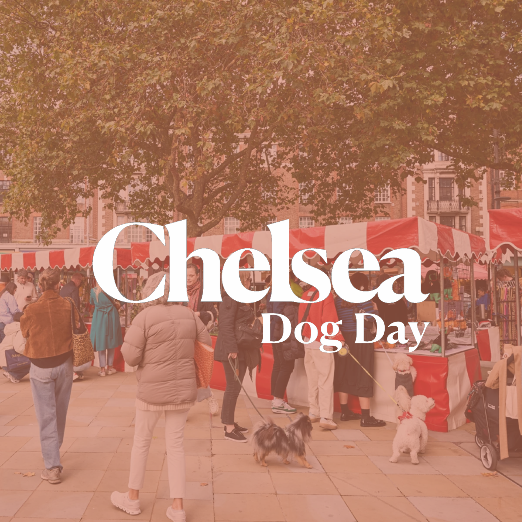 Chelsea dog day Tinka & co. London Banner