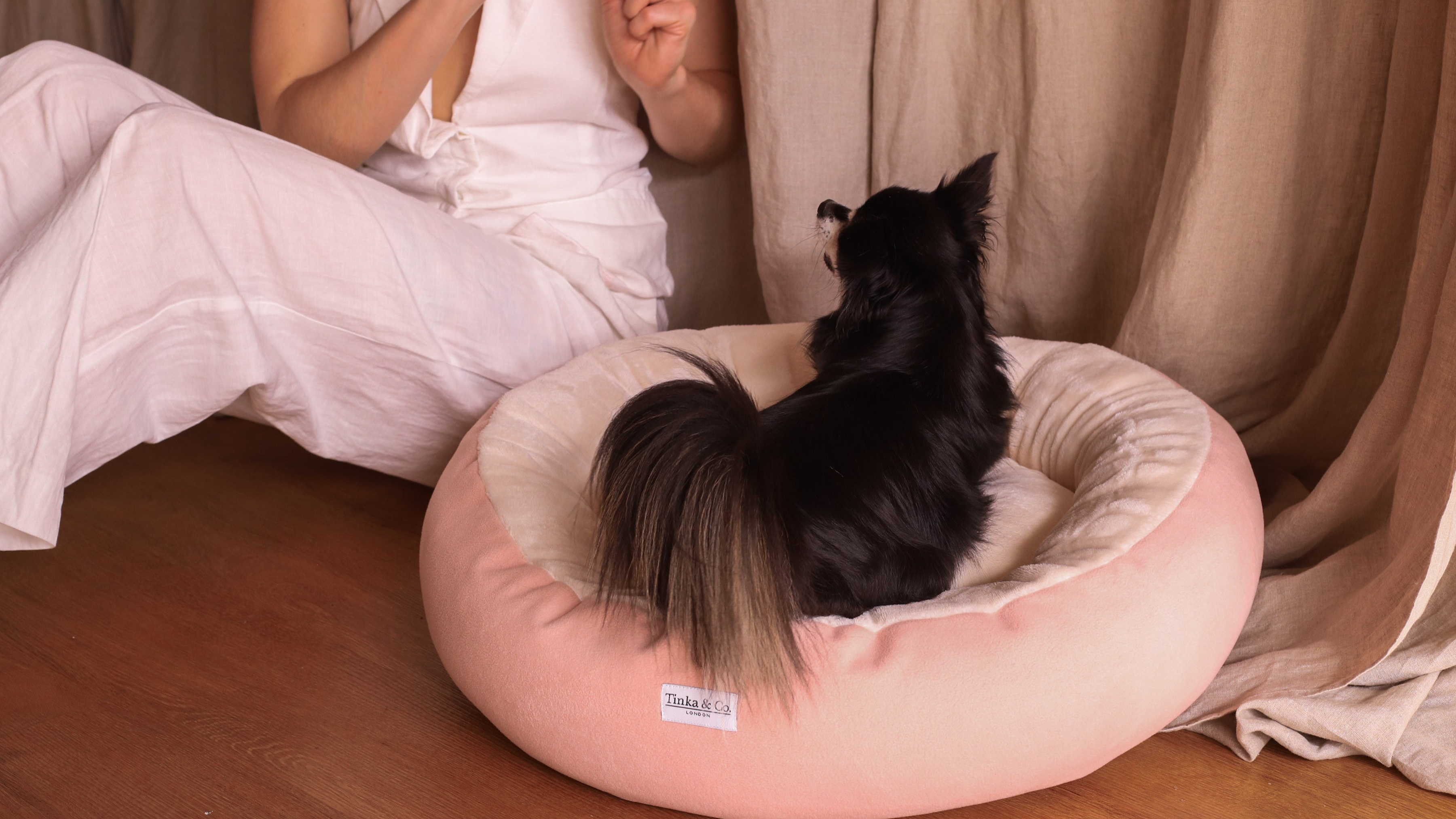 Dog Beds for Small Dog Breeds