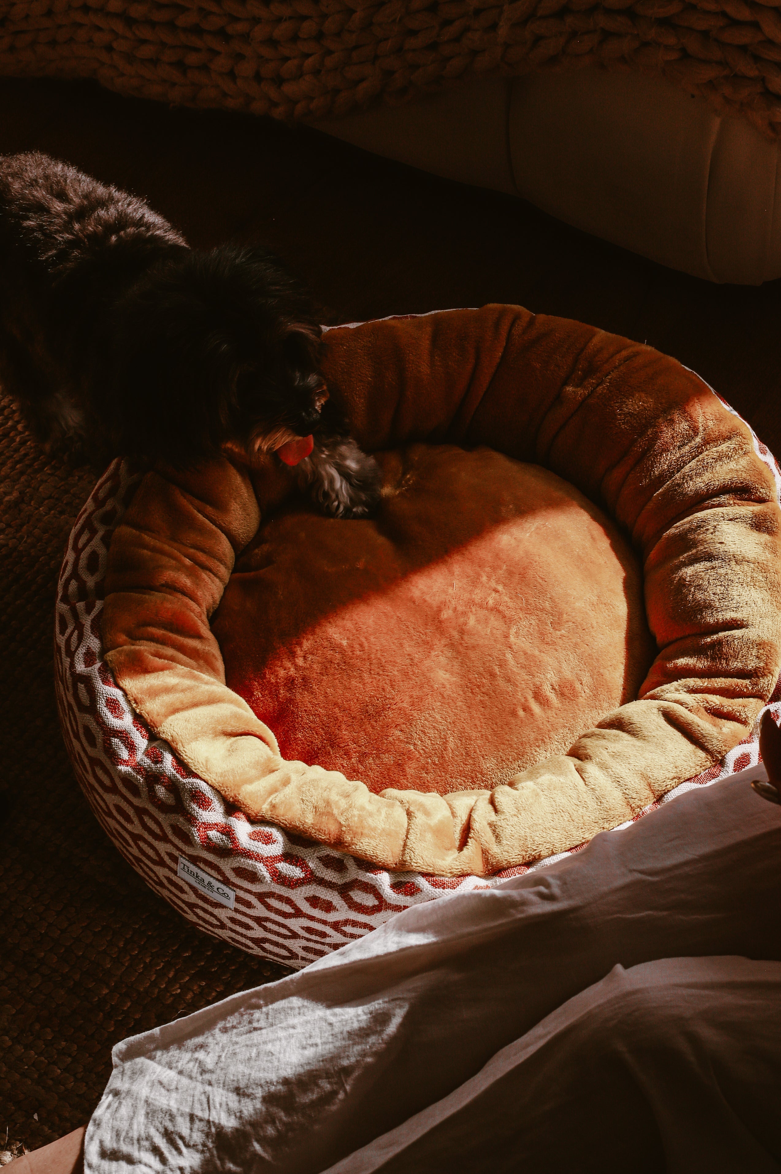 Dog Beds for Mid-Size Dog Breeds