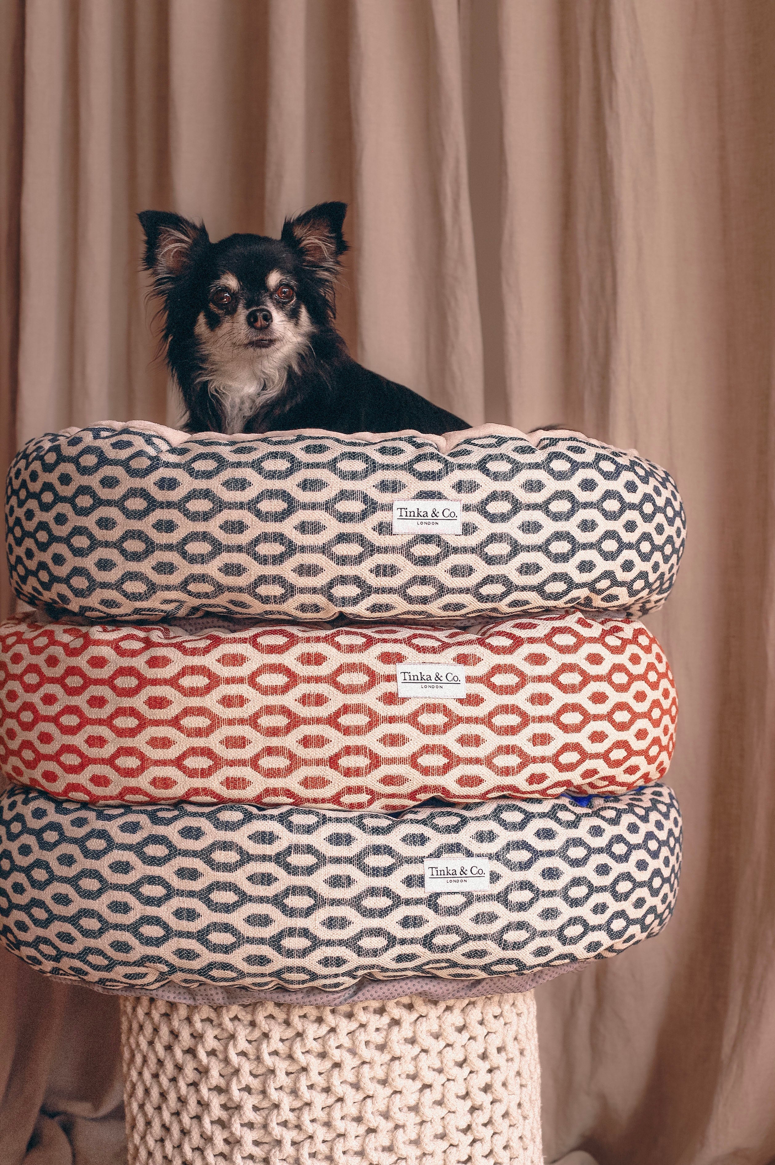 Dog Comforts & Play
